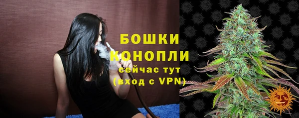 mdpv Волоколамск