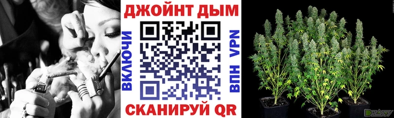 где купить наркотик  МЕГА как зайти  Бошки Шишки OG Kush  Волгодонск 